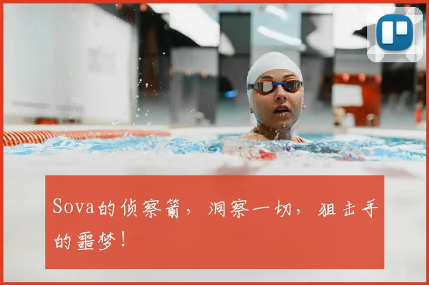 Sova的侦察箭,洞察一切,狙击手的噩梦!